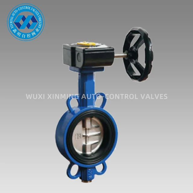 Cast Iron Butterfly Valve